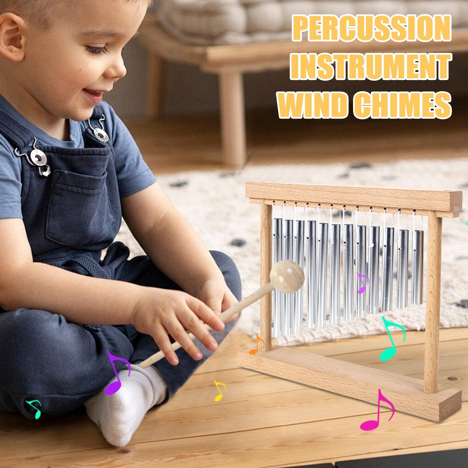 Musical Instruments Educationa - Musical Instrument Family recension och pris