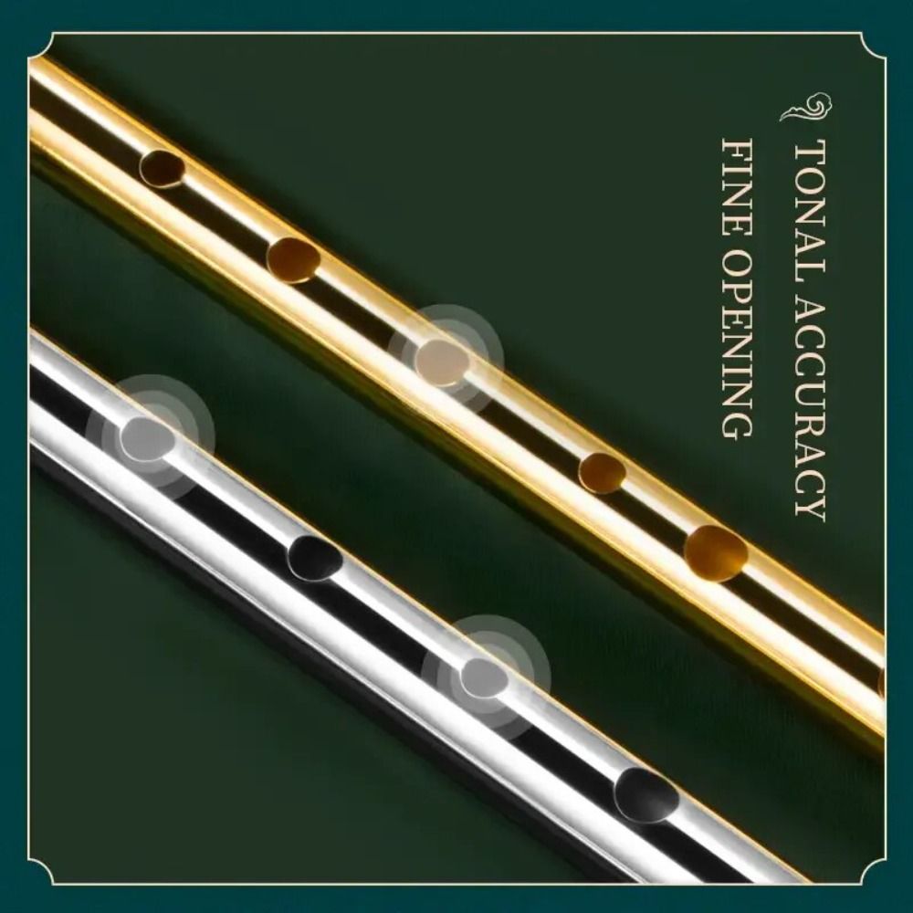 C/D Key Irish Whistle Flute 6  - Musical Instrument Irish recension och pris